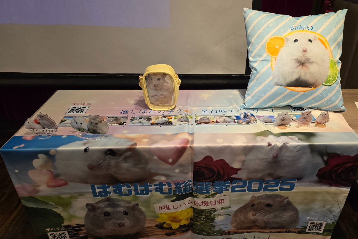 オフ会の様子4